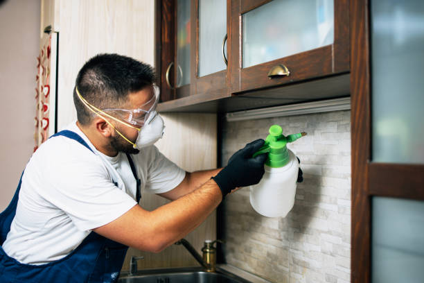 Best Wildlife Control Services  in Houghton Lake, MI
