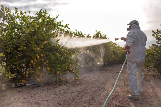 Best Emergency Pest Control  in Houghton Lake, MI