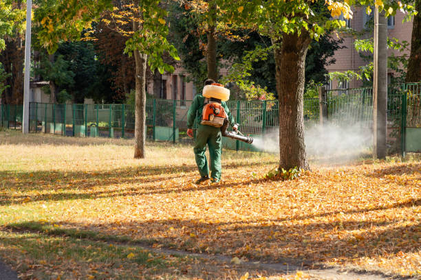 Best Best Pest Control Companies  in Houghton Lake, MI