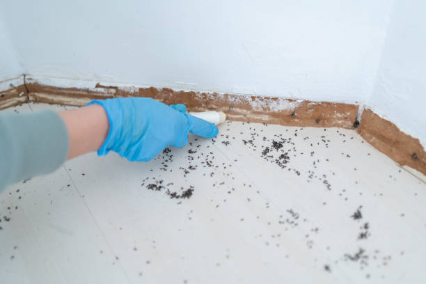 Best Exterminator Services  in Houghton Lake, MI